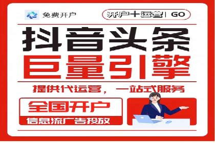 SEM外包服务应用案例分析